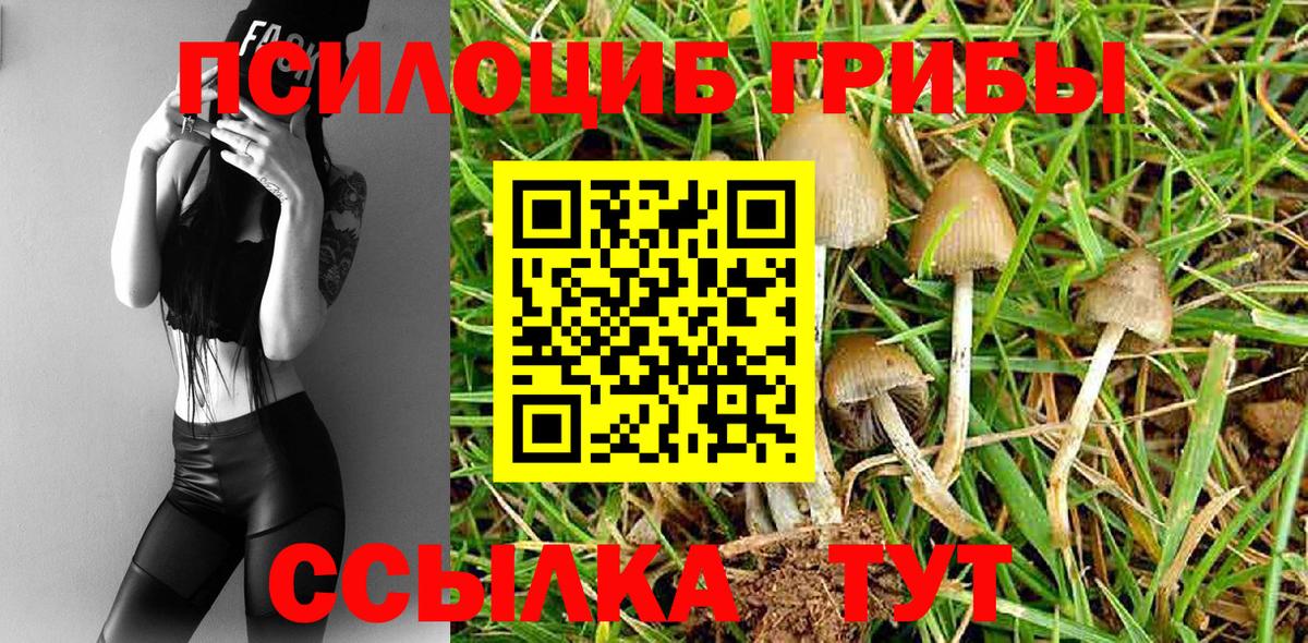 Псилоцибиновые грибы MAGIC MUSHROOMS  Вход с VPN  закладки  Избербаш  Галлюциногенные грибы GOLDEN TEACHER 